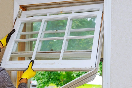 Window Replacement in Dania Beach, FL